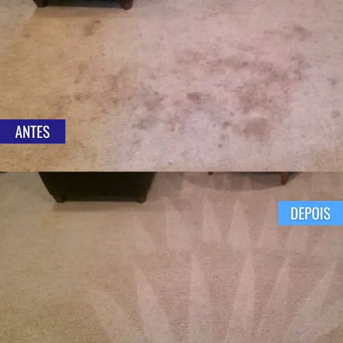 _personal_clean_carpete_antes_e_depois (7)