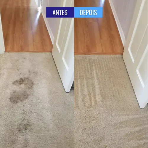 _personal_clean_carpete_antes_e_depois (7)
