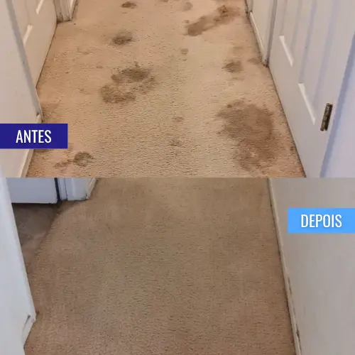 _personal_clean_carpete_antes_e_depois (7)