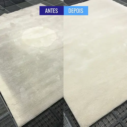 personal_clean_tapete_antes_e_depois (10)