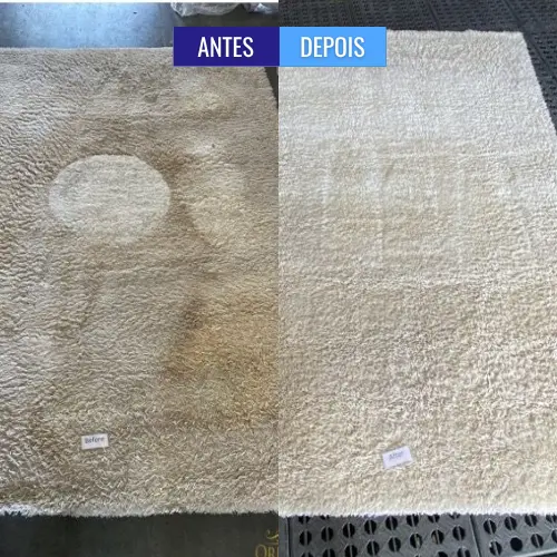 personal_clean_tapete_antes_e_depois (2)