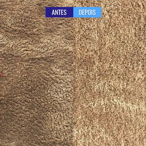 personal_clean_tapete_antes_e_depois (4)