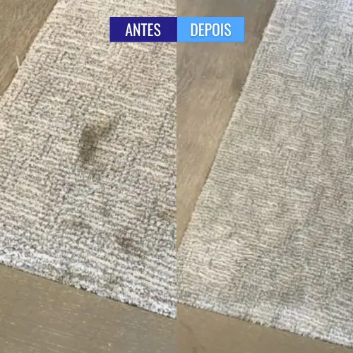 personal_clean_tapete_antes_e_depois (9)